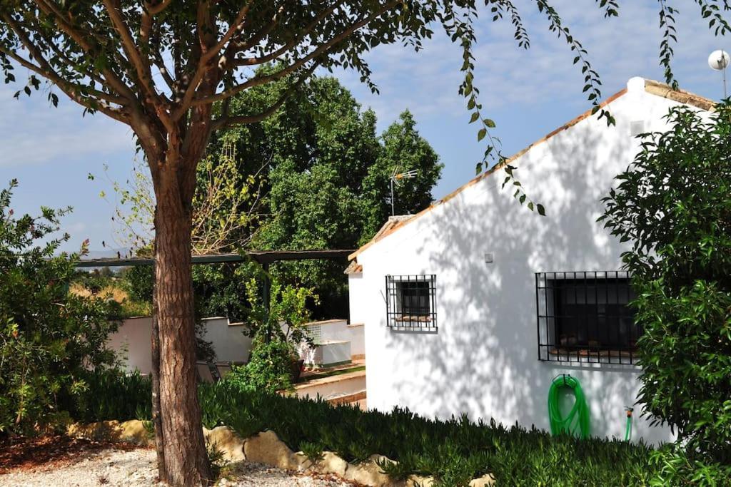 Casa Rural La Linana Cordoba Exterior photo
